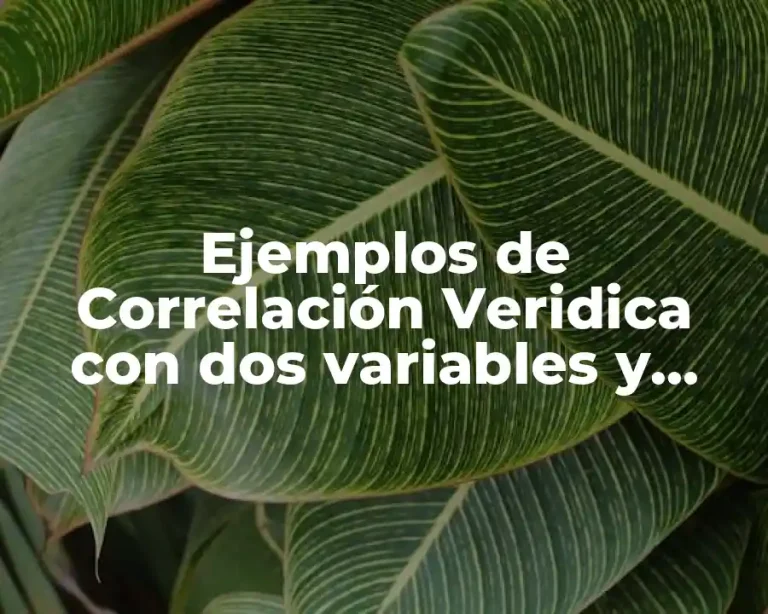 Ejemplos de Correlación Veridica con dos variables y Significado