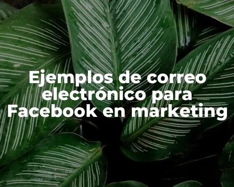 Ejemplos de correo electrónico para Facebook en marketing