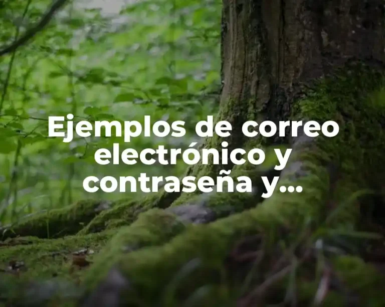 Ejemplos de correo electrónico y contraseña y Significado