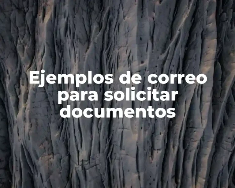 Ejemplos de correo para solicitar documentos