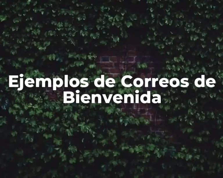 Ejemplos de Correos de Bienvenida