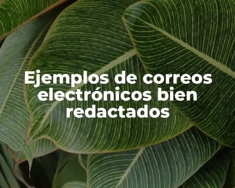 Ejemplos de correos electrónicos bien redactados