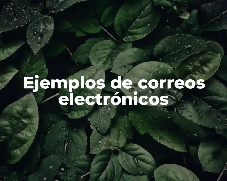 Ejemplos de correos electrónicos