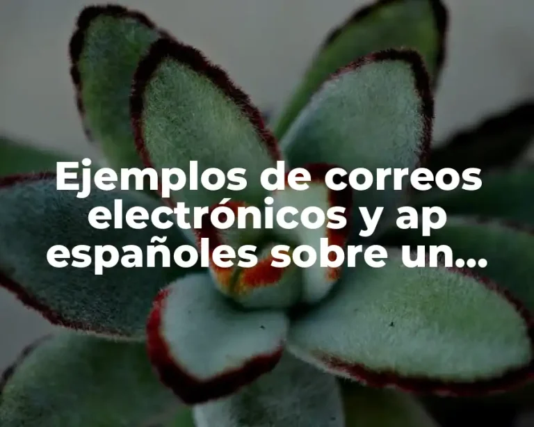 Ejemplos de correos electrónicos y ap españoles sobre un banco