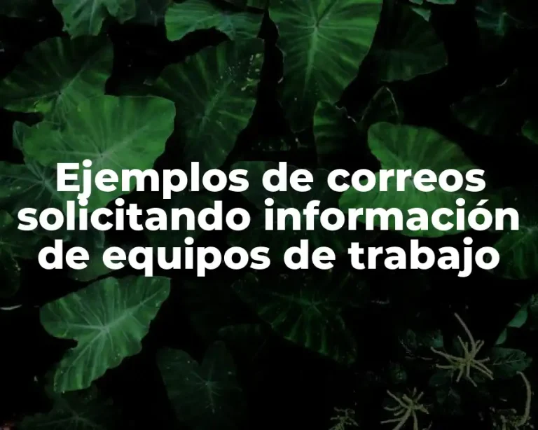 Ejemplos de correos solicitando información de equipos de trabajo