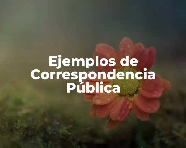 Ejemplos de Correspondencia Pública