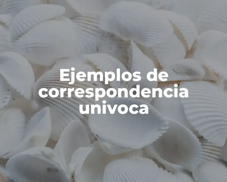 Ejemplos de correspondencia univoca