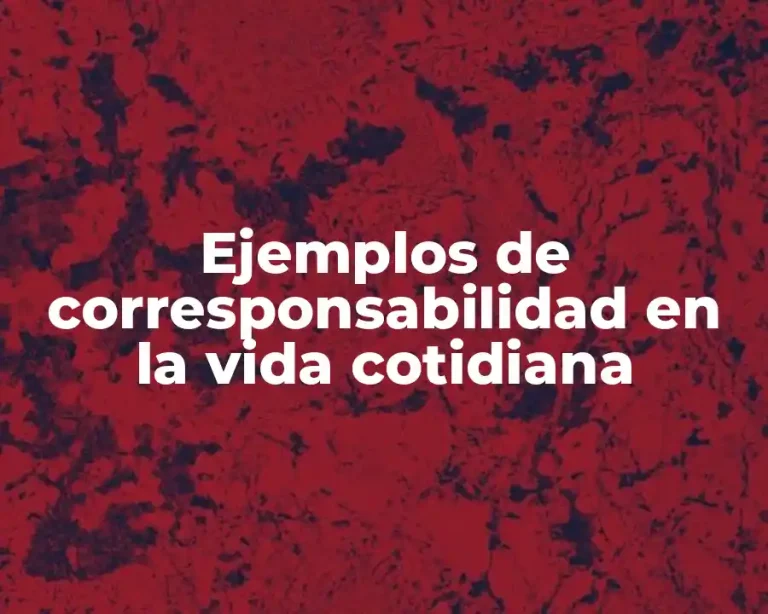 Ejemplos de corresponsabilidad en la vida cotidiana