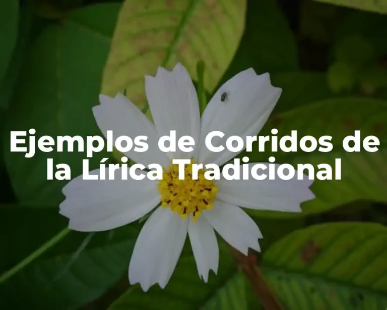 Ejemplos de Corridos de la Lírica Tradicional