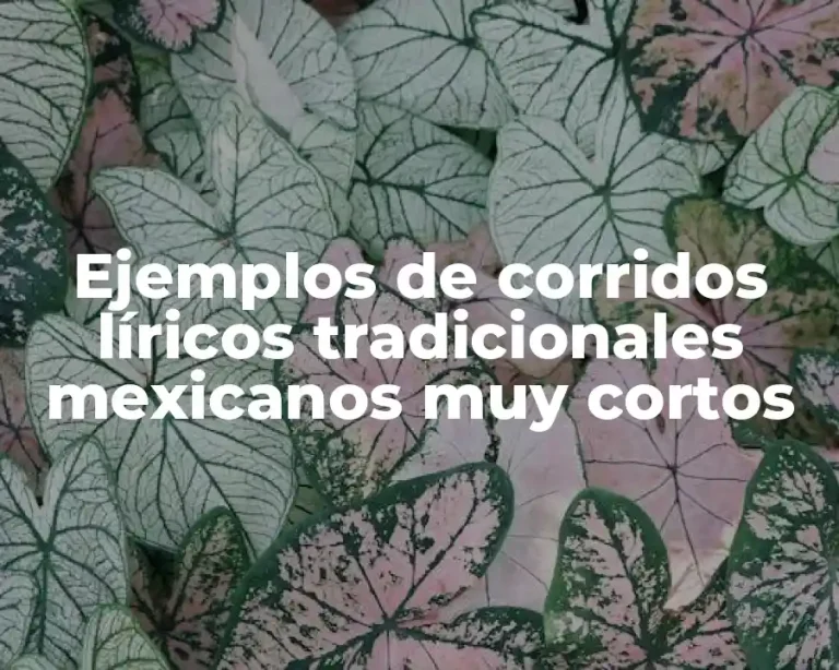 Ejemplos de corridos líricos tradicionales mexicanos muy cortos