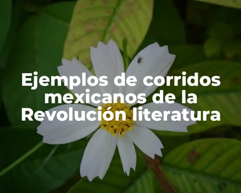 Ejemplos de corridos mexicanos de la Revolución literatura