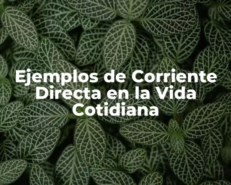 Ejemplos de Corriente Directa en la Vida Cotidiana