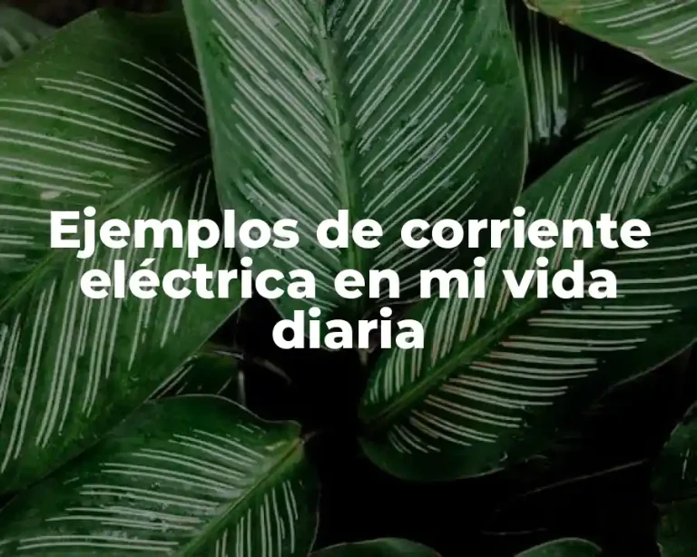 Ejemplos de corriente eléctrica en mi vida diaria