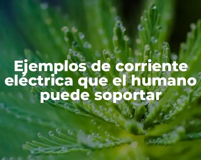 Ejemplos de corriente eléctrica que el humano puede soportar