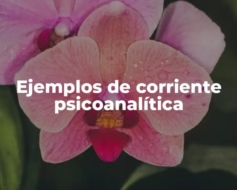 Ejemplos de corriente psicoanalítica