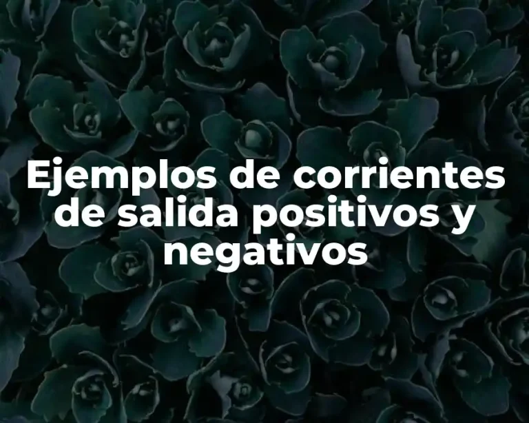 Ejemplos de corrientes de salida positivos y negativos