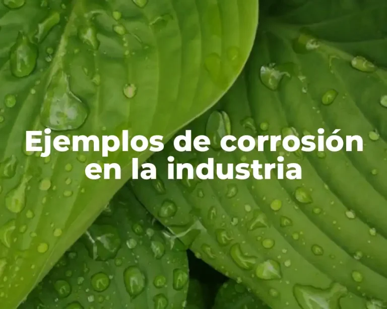 Ejemplos de corrosión en la industria