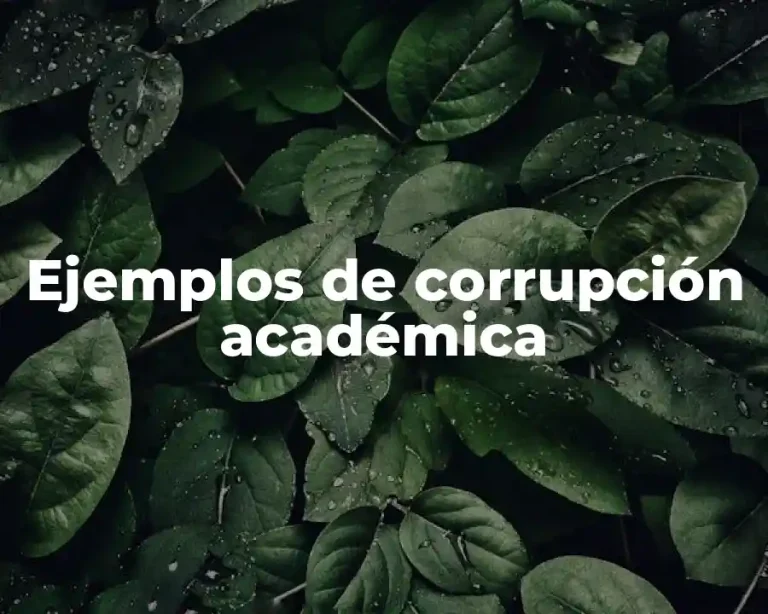 Ejemplos de corrupción académica