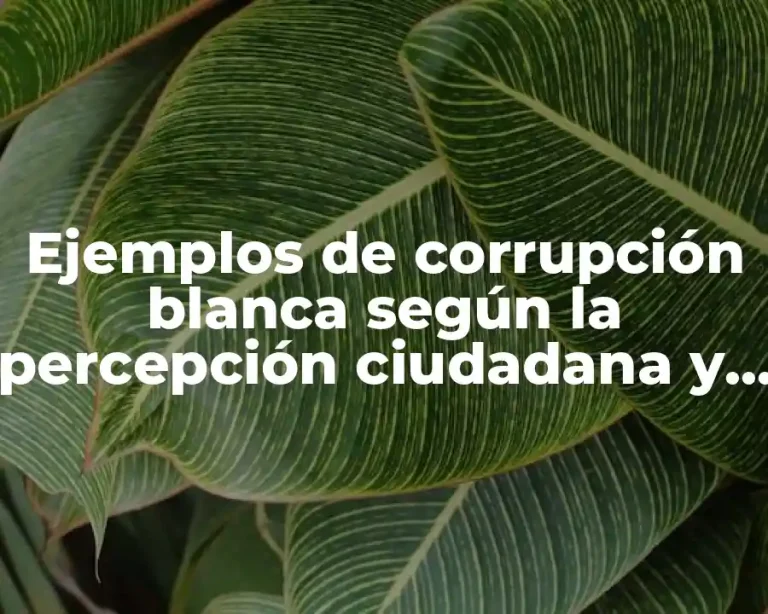 Ejemplos de corrupción blanca según la percepción ciudadana y Significado