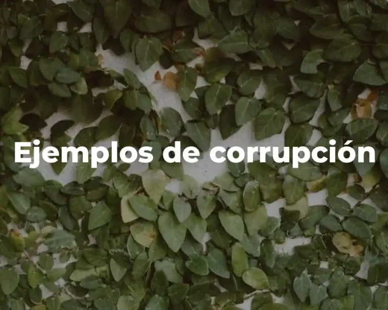 Ejemplos de corrupción