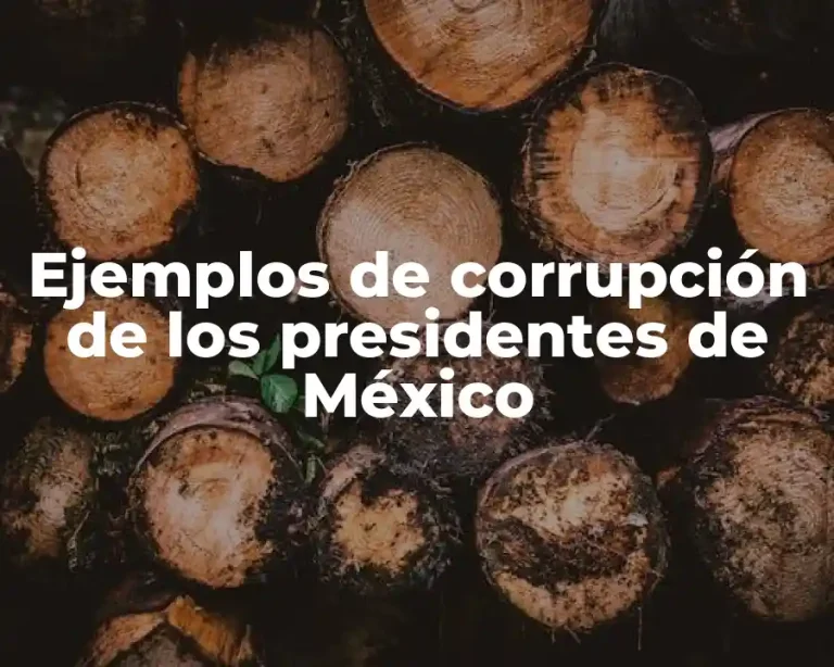 Ejemplos de corrupción de los presidentes de México
