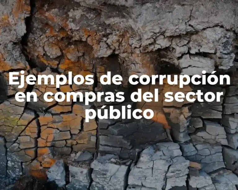 Ejemplos de corrupción en compras del sector público