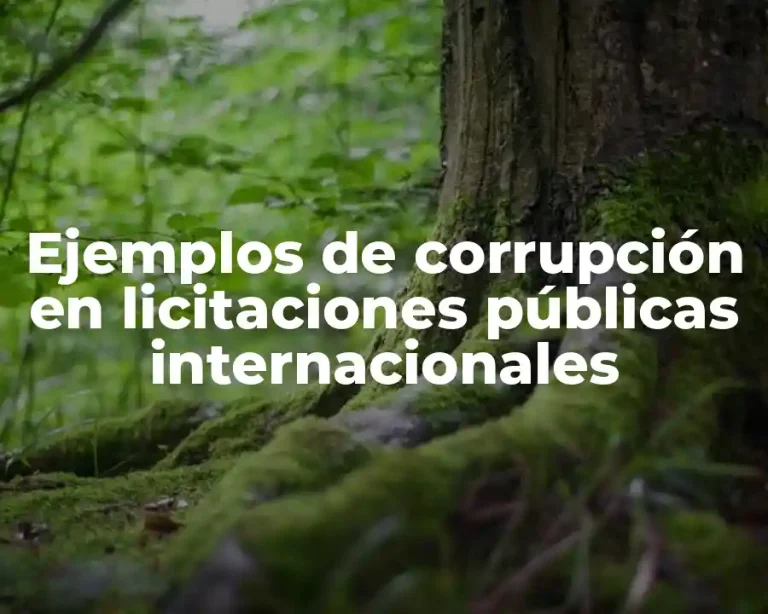 Ejemplos de corrupción en licitaciones públicas internacionales