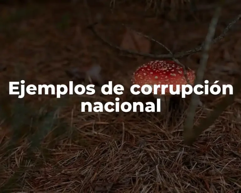 Ejemplos de corrupción nacional