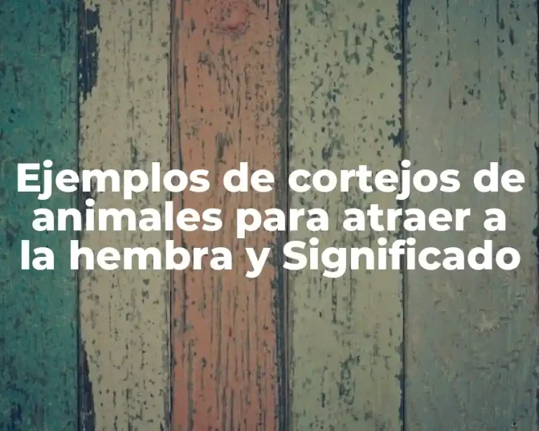 Ejemplos de cortejos de animales para atraer a la hembra y Significado