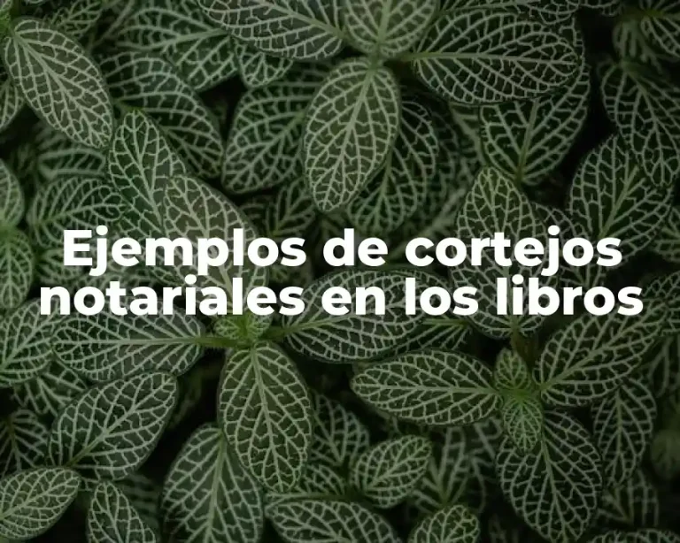 Ejemplos de cortejos notariales en los libros