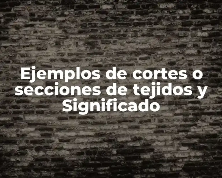 Ejemplos de cortes o secciones de tejidos y Significado
