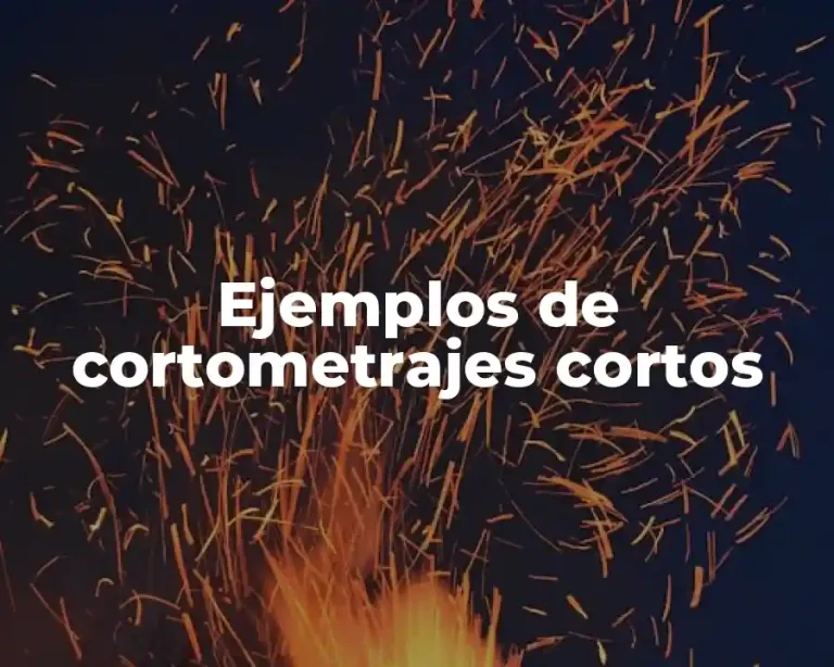 Ejemplos de cortometrajes cortos