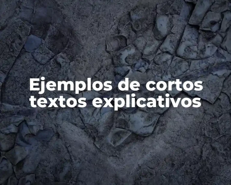 Ejemplos de cortos textos explicativos