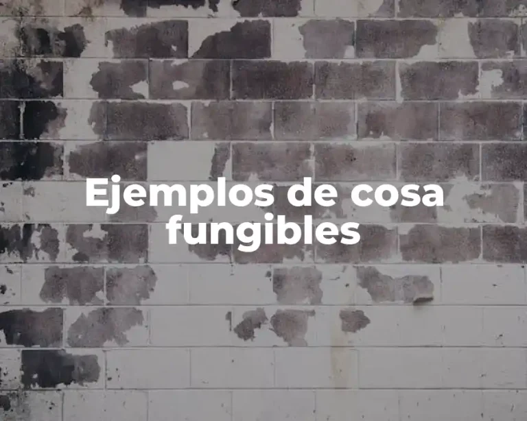 Ejemplos de cosa fungibles