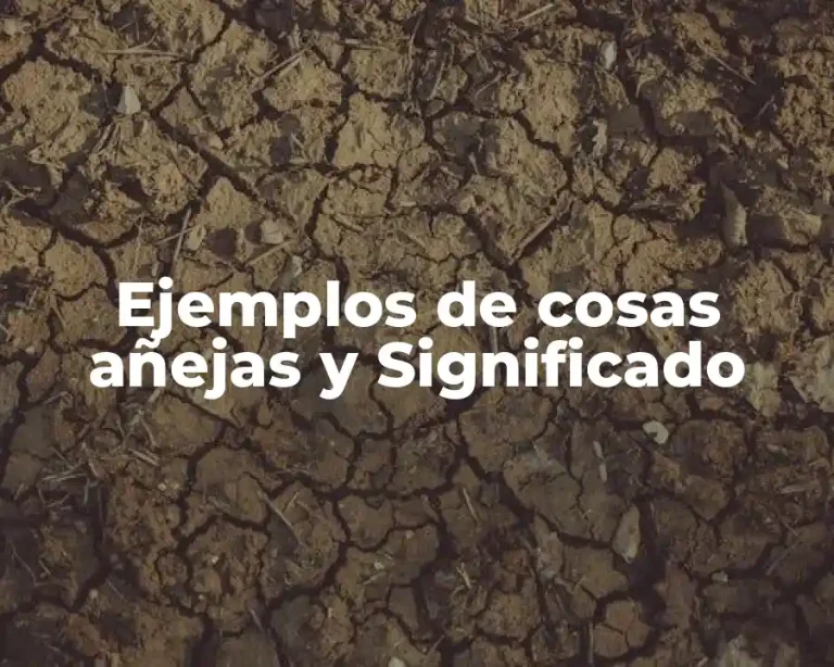 Ejemplos de cosas añejas y Significado