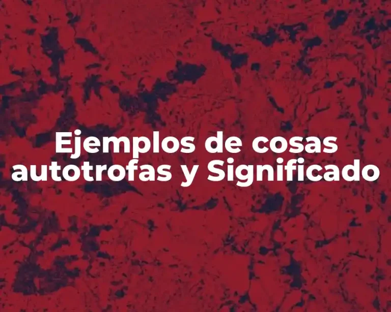 Ejemplos de cosas autotrofas y Significado