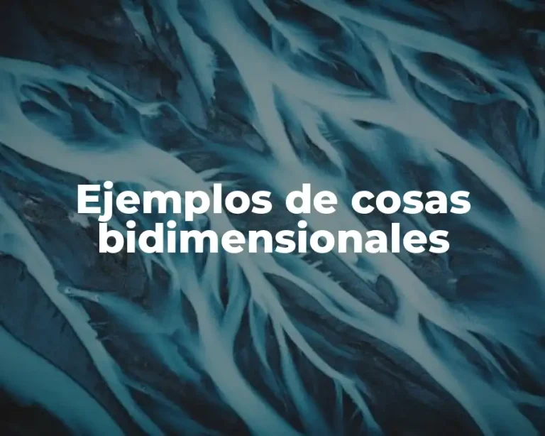 Ejemplos de cosas bidimensionales