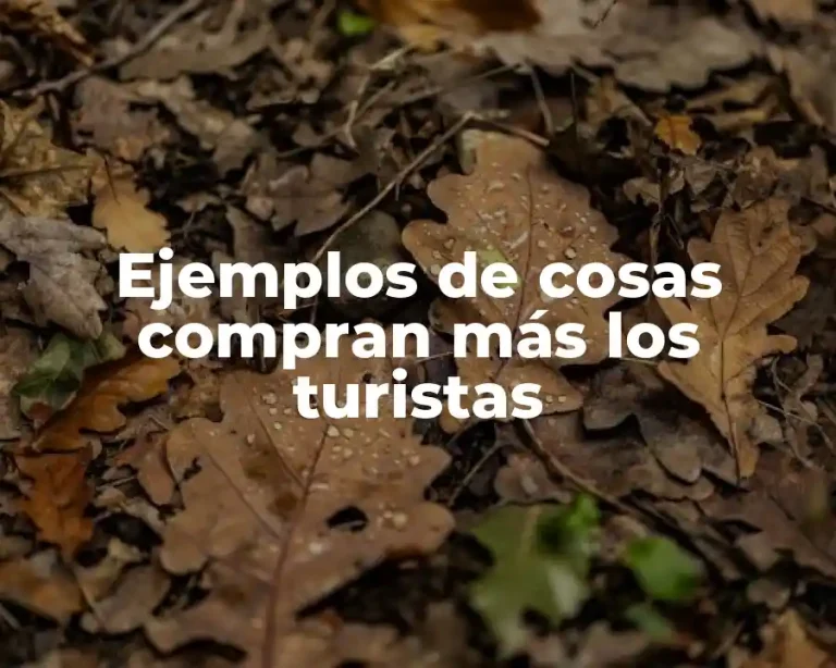 Ejemplos de cosas compran más los turistas