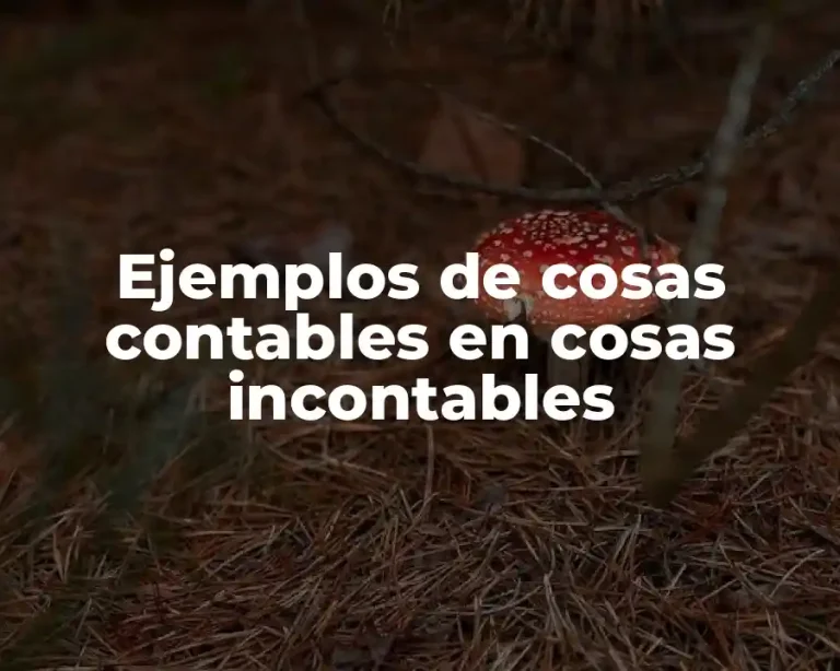 Ejemplos de cosas contables en cosas incontables