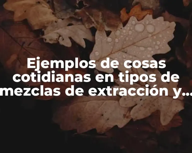 Ejemplos de cosas cotidianas en tipos de mezclas de extracción y Significado
