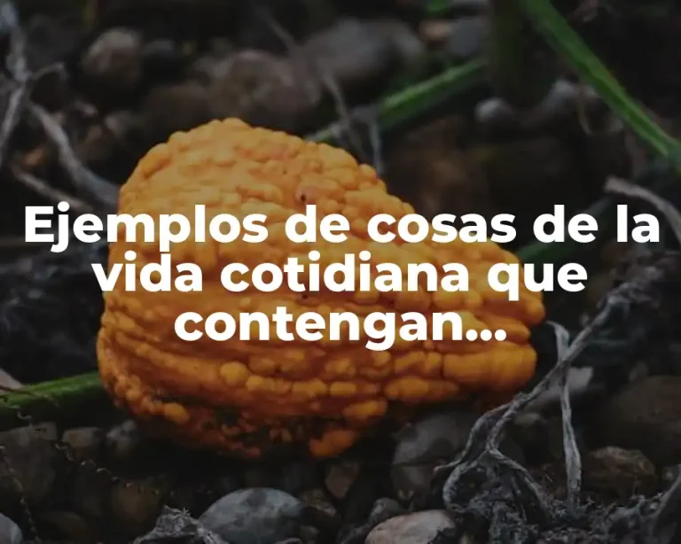 Ejemplos de cosas de la vida cotidiana que contengan biotecnología y Significado