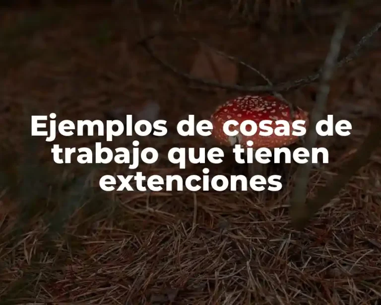 Ejemplos de cosas de trabajo que tienen extenciones