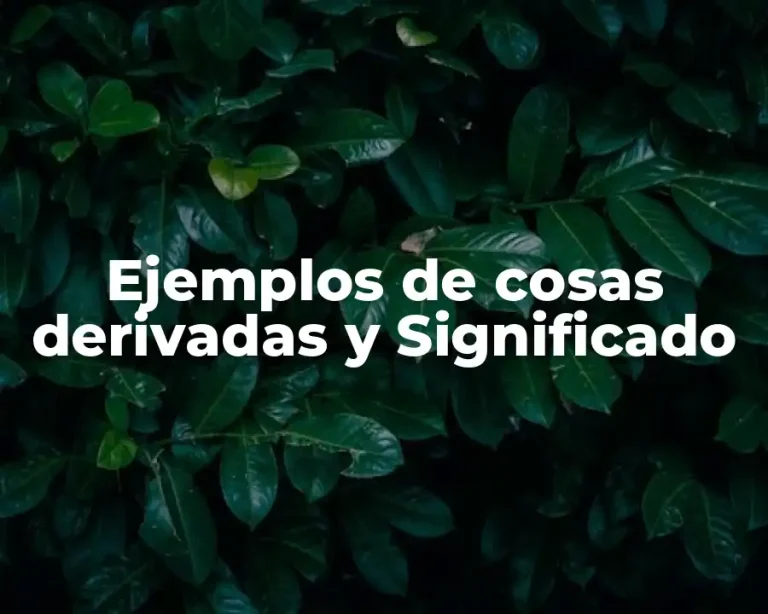 Ejemplos de cosas derivadas y Significado