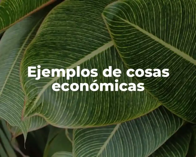 Ejemplos de cosas económicas