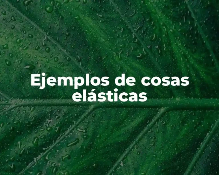 Ejemplos de cosas elásticas