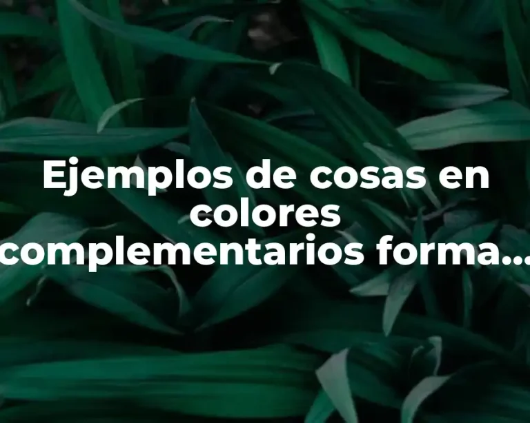 Ejemplos de cosas en colores complementarios forma rectangular