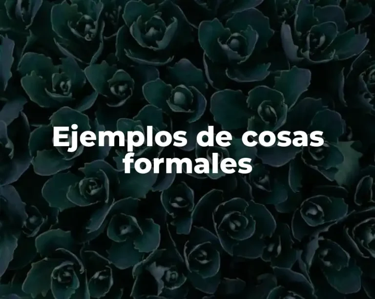 Ejemplos de cosas formales