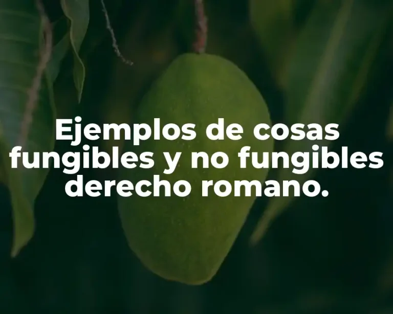 Ejemplos de cosas fungibles y no fungibles derecho romano.