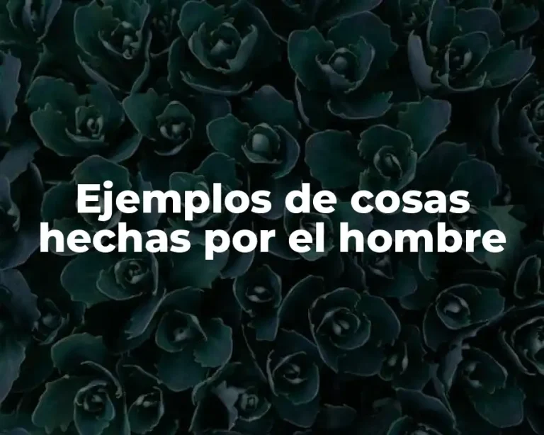 Ejemplos de cosas hechas por el hombre