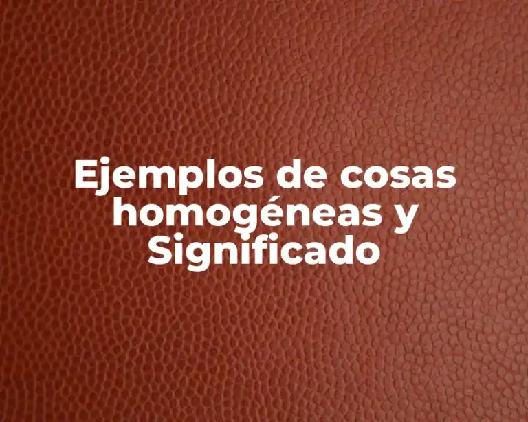 Ejemplos de cosas homogéneas y Significado